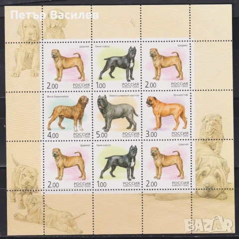 Чисти марки Фауна Кучета 2019 2002 от Русия, снимка 2 - Филателия - 51029921