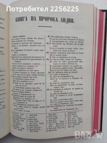 Библия , снимка 6 - Специализирана литература - 49243320