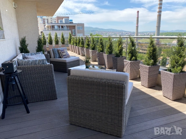 Кашпи от ратан и изкуствени кипариси, снимка 3 - Градински цветя и растения - 54114752