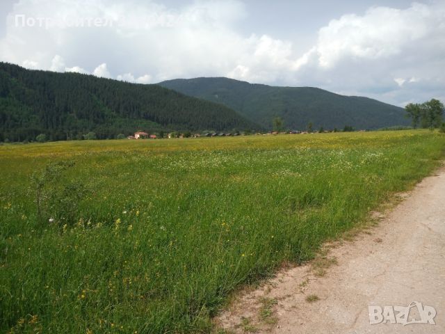 Земя в планински район - село Говедарци, снимка 3 - Земеделска земя - 46204989