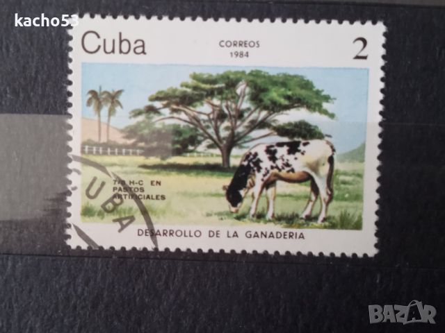 1984 г. Говеда. Куба, снимка 2 - Филателия - 45431436