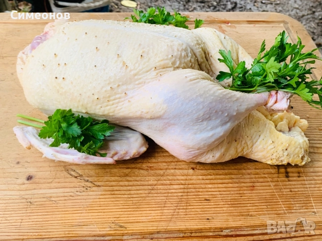 Патици,Пуйки , снимка 5 - Патици и гъски - 51881612