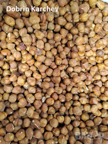 Лешник ядка, снимка 2 - Други - 53762541