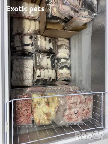 Замразени мишки и плъхове. 