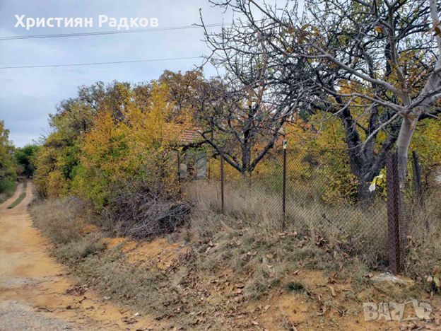 Парцел в село Войнеговци, снимка 3 - Парцели - 45796291