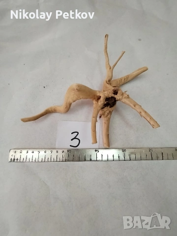 Корени за аквариум, терариум, паладиум , снимка 2 - Аквариуми - 44083269