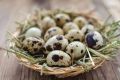Яйца за консумация,  оплодени яйца от кокошки, лебедови гъски , снимка 4