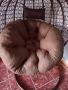 2бр голяма кръгла възглавница ПУФ Плюш Легло за куче , снимка 1