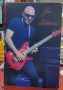 Joe Satriani-метална табела(плакет)
