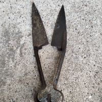 Ножица за стригане на овце, снимка 2 - Антикварни и старинни предмети - 45092885