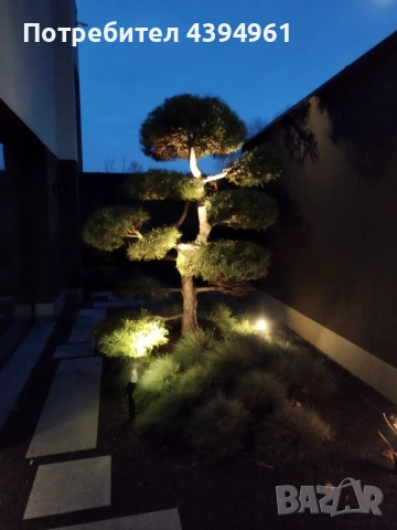 Косене трева, озеленяване, поливни системи, абонаментна поддръжка , снимка 7 - Други услуги - 53760821