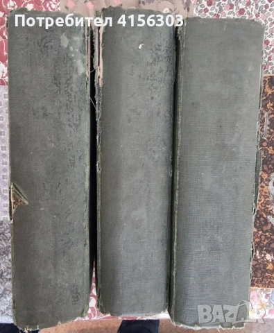 Енциклопедически речник. Л.Касъров. 3 части. 1899/1907., снимка 6 - Антикварни и старинни предмети - 53723988