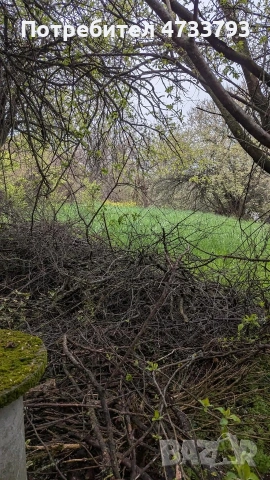 Продавам парцел 720 кв.м.със къща 60 кв.м,която подлежи евентуално за събаряне., снимка 15 - Парцели - 53424951