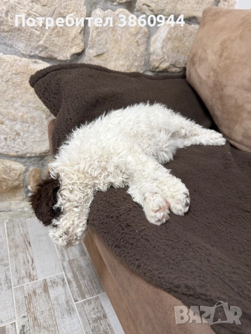 Женско лагото романьол, снимка 8 - Други - 54242943