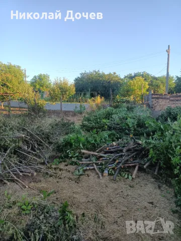 Рязане на опасни дарвета почистване на дворове и големи парцели със профисионална техника, снимка 15 - Други услуги - 48378820