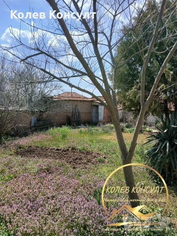 🥇 Агенция “Колев Консулт” продава едноетажна къща в село Елена област Хасково , снимка 18 - Къщи - 53994177