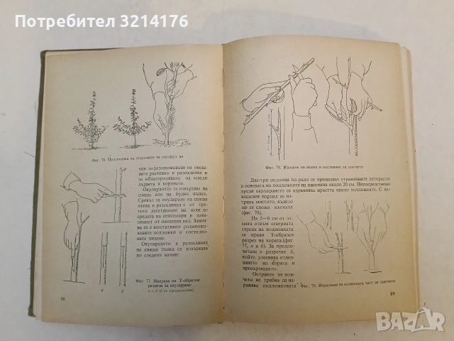 Нагледно ръководство по овощарство. Второ преработено и допълнено издание - Цочо Спасов, снимка 8 - Специализирана литература - 53581681