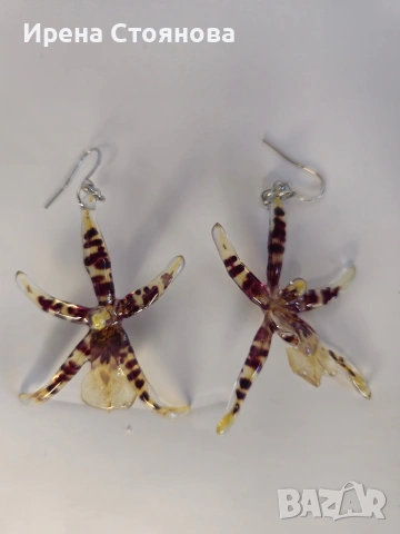 Обеци с естествен цвят на орхидея Brassia, снимка 14 - Обеци - 53662889