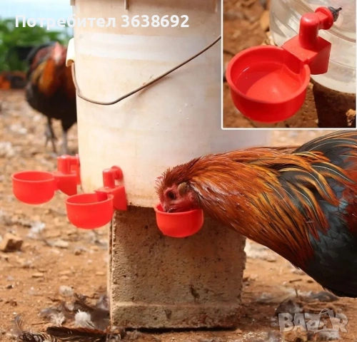 Поилки за пилета/кокошки, снимка 3 - За птици - 53494691
