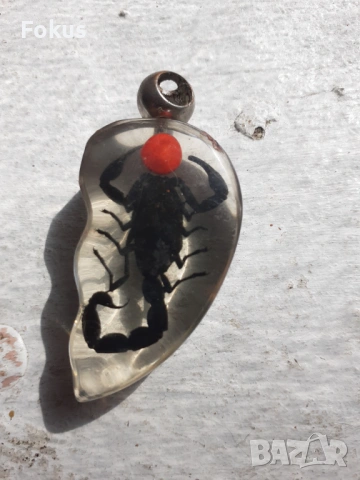 Медальон скорпион, снимка 6 - Антикварни и старинни предмети - 53424596
