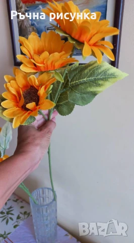 Слънчоглед с 3 цвята, снимка 1