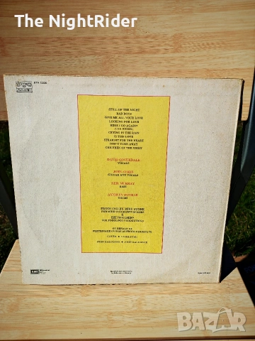 Грамофонна плоча, снимка 2 - Грамофонни плочи - 53667964