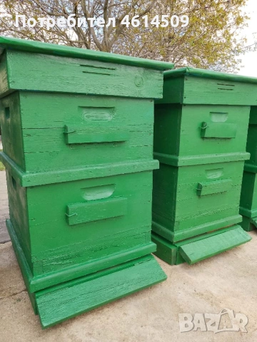 Кошери , снимка 2 - Други животни - 54303600