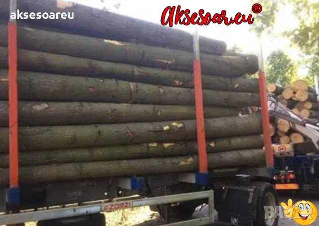 Продавам 400 семена от медоносно дърво пауловния томентоса за пчелари дървен материал сянка на двора, снимка 8 - Сортови семена и луковици - 50390012