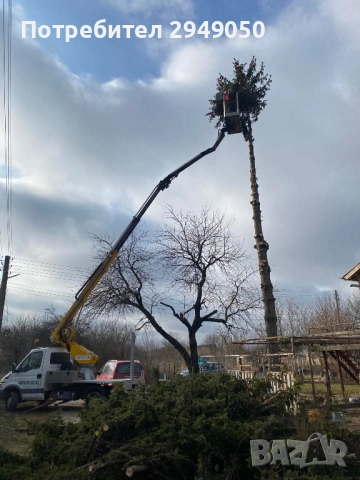 Рязане на опасни дървета и склони с вишка