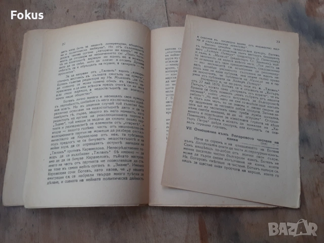 Стара царска книжка книга Христо Ботев критик, снимка 6 - Антикварни и старинни предмети - 54295115