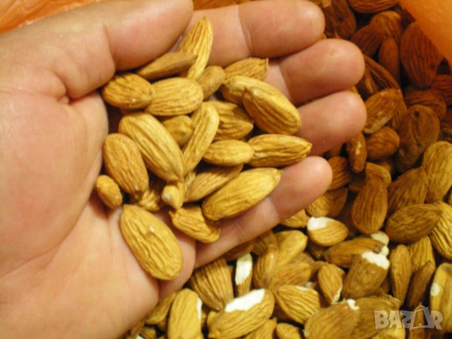 Продавам Български Бадеми, Орехи, Лешници и Кайсиеви ядки /начупени/, снимка 2 - Други - 50840690
