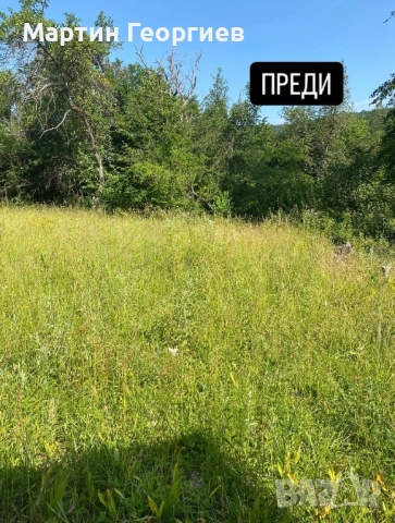 Почистване и косене на имоти , снимка 2 - Други почистващи услуги - 53816255