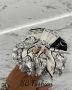 Christian Dior ластик реплика, снимка 3