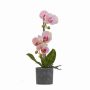 Изкуствена орхидея в саксия 40см KD3266, снимка 1 - Изкуствени цветя - 45451653