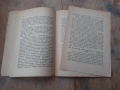 Стара царска книжка книга Христо Ботев критик, снимка 6