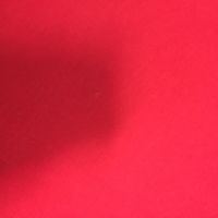 Червено поло PEPCO LADIES, 12 лв., S, M, XL , снимка 13 - Блузи с дълъг ръкав и пуловери - 45457374