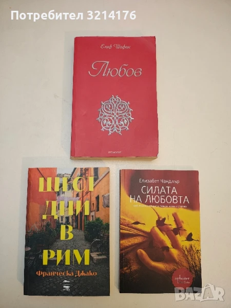 Любов - Елиф Шафак, снимка 1