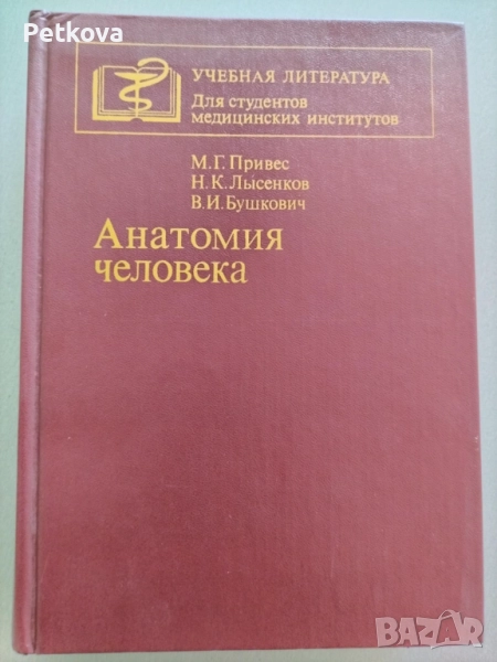 Анатомия человека, снимка 1