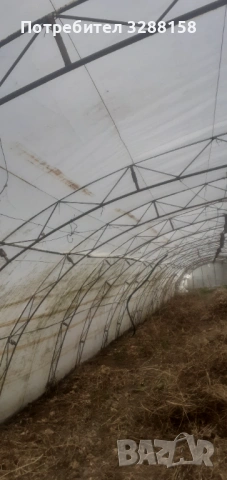 Оранжерия--ферми за оранжерия , снимка 4 - Оранжерии - 54080846