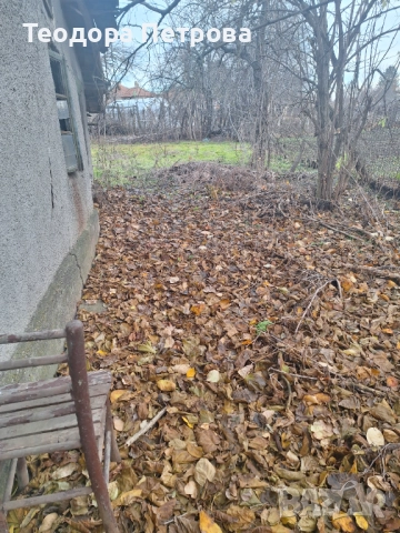 Парцел със стара къща за събаряне, снимка 7 - Парцели - 41017971