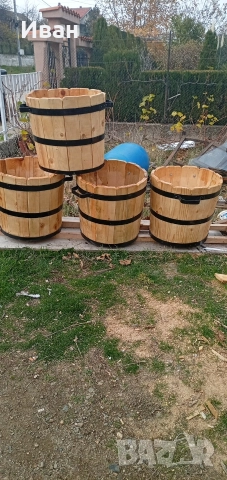 саксии за лимони