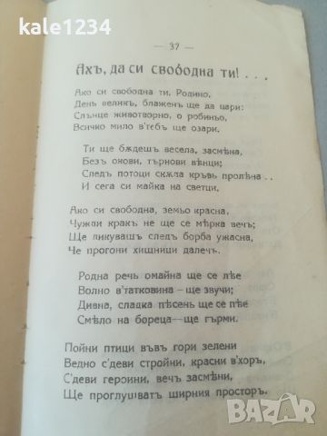 Стихосбирка "Песни на роба". Г. Константинов 1929г. Станимъка , снимка 5 - Художествена литература - 45995787