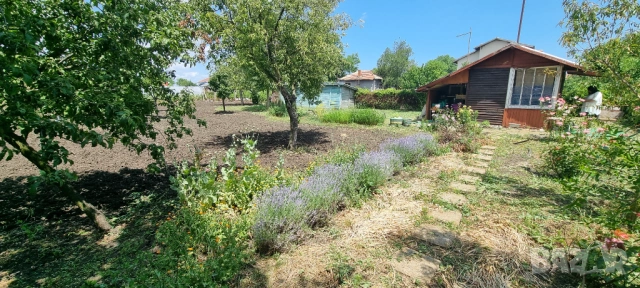 Парцел в регулация, бунгало, ток, вода, сондаж, овощни дръвчета., снимка 2 - Парцели - 53813164