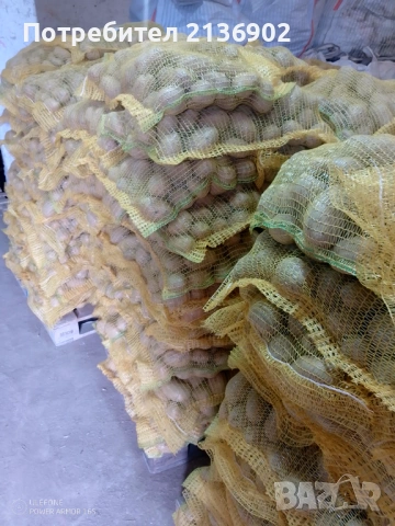 Продавам картофи за консумация СОРАЯ