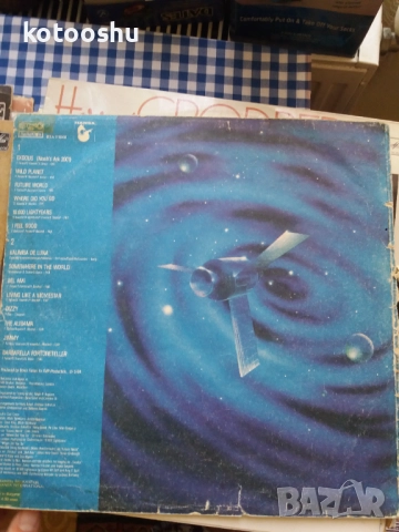 Други грамофонни плочи