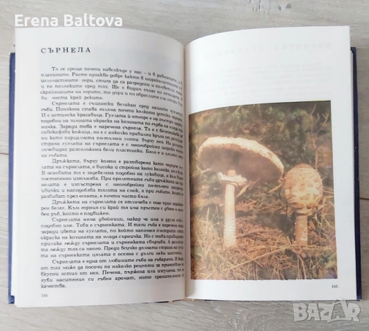 🍃💜   Албум за растения и животни  299стр. 1976г, снимка 4 - Други - 53912262