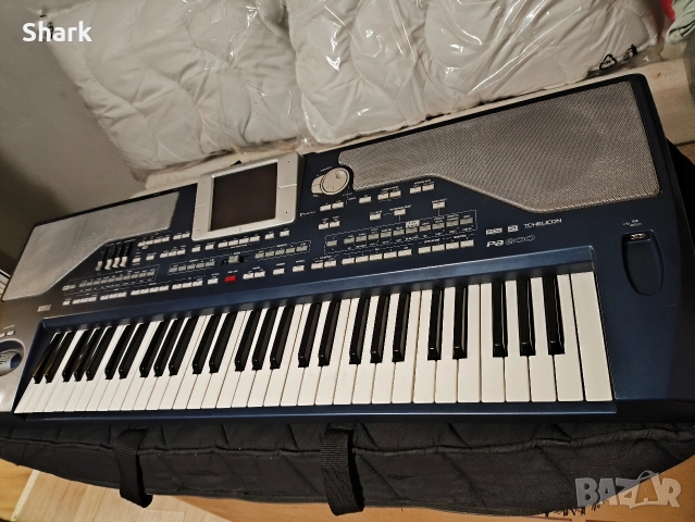 KORG PA 800 64MB с проблем +256мб рам, снимка 3 - Друга електроника - 52976135