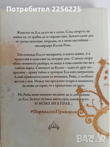 Парцалената принцеса, снимка 7 - Художествена литература - 53154888