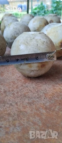 18 бр.отляти бели топки тип камък с размери:5-5-5см, снимка 8 - Други - 51024339