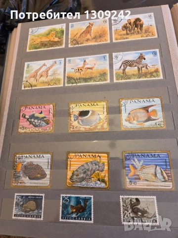 Класьори с пощенски марки, снимка 13 - Филателия - 52352149